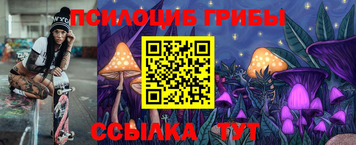 Псилоцибиновые грибы мицелий Азнакаево